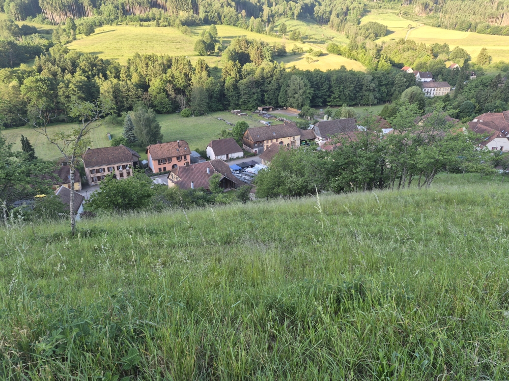 20260524_065220.jpg